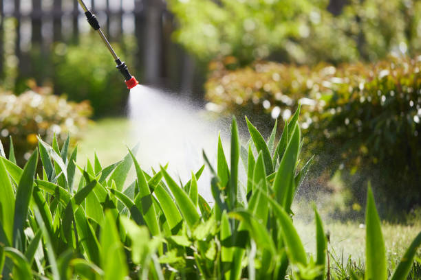 24/7 Emergency Cockroach Control experts in Victor, ID